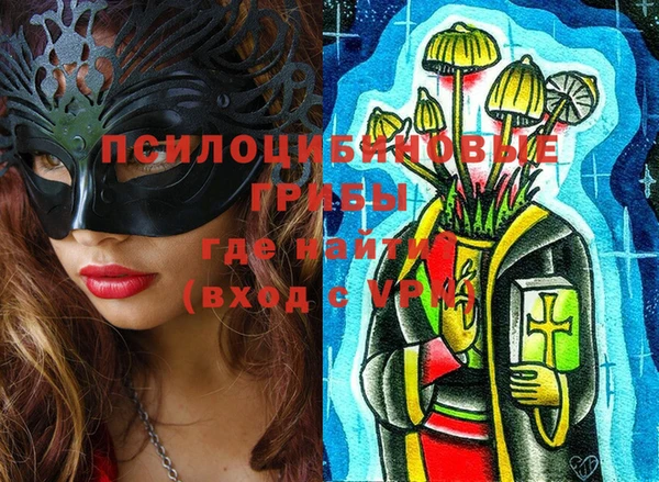 мдпв Гусиноозёрск
